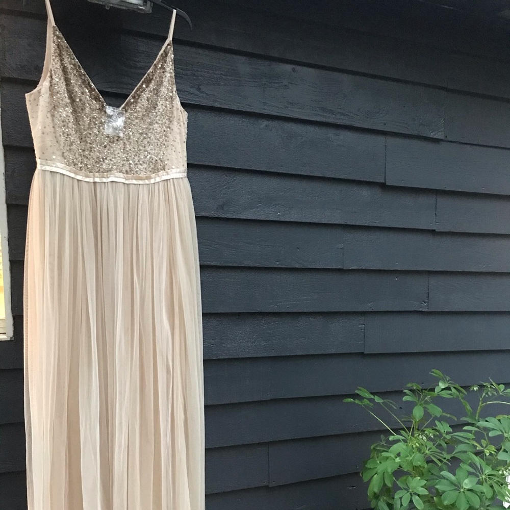BHLDN Avery champagne/gold sequence dress